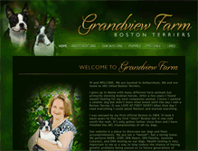 Tablet Screenshot of grandviewbostonterriers.com